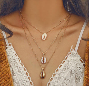KAURI MUSCHEL